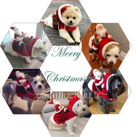 Costume traineau Père Noel Chien